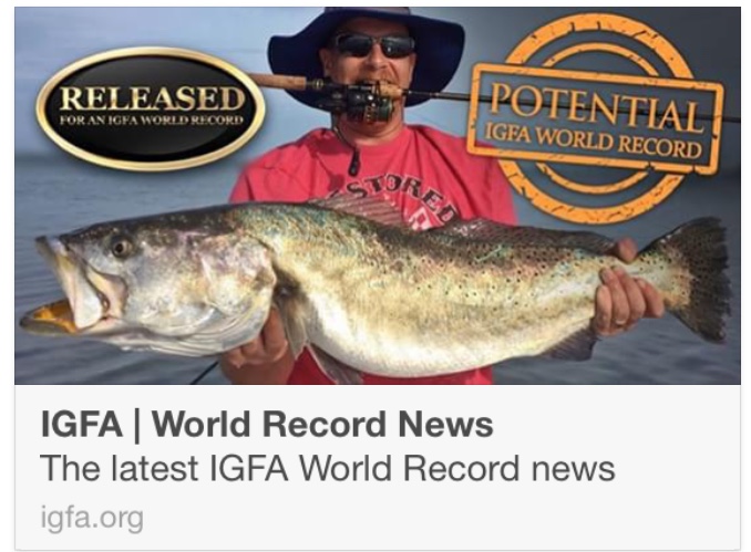 world record trout